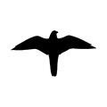 Symbolschild Falke