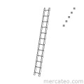 Single ladder with rungs