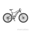 Bicicleta eléctrica (E-Bike)