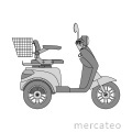Ciclomotor eléctrico 3 ruedas