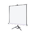 Projection screen dust cover