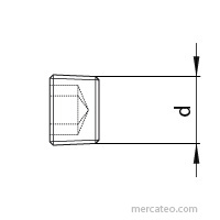 DIN 906 Verschlussschrauben Innengewinde, kegeliges Rohrgewinde 1/4" x 10, 5.8 blank