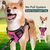 BLUZELLE Dog Harness for Large Dogs, Reflective Dog Vest Padded Pet Coat, Adjustable Chest Harness with Training Handle & Pocket for GPS Tracker Tag, No Pull Anti Pull Harness, ...