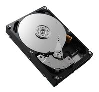 4TB 7.2K 12G 3.5INCH SAS HDD Festplatten