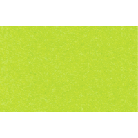 Briefkarten A6 VE=10 Stück tropicgrün
