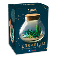 GRAINE CREATIVE Kit Fimo terrarium - produit supprimé à épuisement du stock