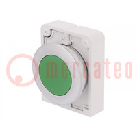Switch: push-button; 30mm; Stabl.pos: 2; green; none; IP67; -25÷70°C