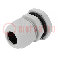 Cable gland; M20; 1.5; IP67; polyamide; grey