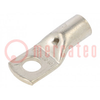 Terminal: anillo tubular; M10; 50mm2; crimpados; para conducto