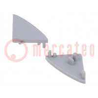 Cap for LED profiles; silver; 10pcs.