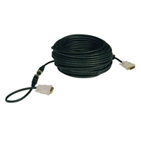 Tripp Lite P561-100-EZ kabel DVI 30,5 m DVI-D Czarny