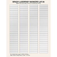Brady LaserTab Argento Etichetta per stampante autoadesiva