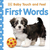 ISBN Baby Touch and Feel First Words libro Educativo Inglés Tapa dura 14 páginas