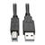 Tripp Lite P782-010-DH HDMI/DVI/USB KVM Cable Kit, 10 ft. (3.05 m) - USB 2.0, 4K 60Hz