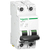 Schneider Electric A9N61532 coupe-circuits 2
