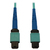 Tripp Lite N846B-25M-24-P 40/100/400G Multimode 50/125 OM3 Fiber Optic Cable (24F MTP/MPO-PC F/F), LSZH, Aqua, 25 m (82 ft.)