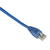 Black Box GigaTrue CAT6 UTP 0.3 m networking cable Blue U/UTP (UTP)