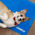 Kühlmatte "Hund" in Blau - 40 x 30 cm 10041227_1288