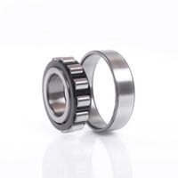 Cylindrical roller bearings N219 EM1 - FAG
