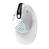 Wireless Ergonomic Mouse Delux M618XSD BT+2.4G RGB (white)