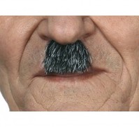 Bigote de Charlot canoso T.Universal