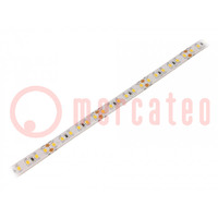 LED strips; warm wit; 2835; 24V; LED/m: 120; 10mm; witte PCB; IP65