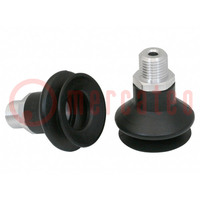 Suction cup; 33mm; G1/4 AG; Shore hardness: 55; 4.75cm3; FSGA