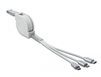 DeLOCK 85850 USB-kabel 0,98 m USB 2.0 USB A USB C/Micro-USB B/Lightning Zilver, Wit