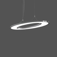 RZB Sidelite Ellypsoid plafondverlichting LED D
