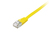Equip 607660 kabel sieciowy Żółty 1 m Cat6a U/FTP (STP)