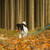 Relaxdays Hundeleine reflektierend, 150 cm, gepolsterte Schlaufe, Leine kleine & große Hunde, bis 50 kg, Nylon, blau