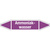 Aufkleber Ammoniakwasser, violett, Folie, selbstklebend, 126 x 26 x 0,1 mm, DIN 2403, L704