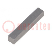 Magnete: fisso; 19x3,2x3,2mm; AlNiCo500