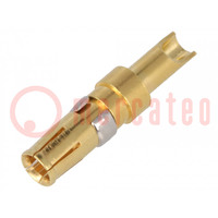 Contact; female; copper alloy; gold-plated; 14AWG÷12AWG; 20A