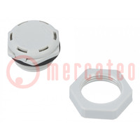 Pressure compensation device; IP68; Thread: M20; Body: light grey