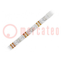 Programmable LED tape; RGB; 5050; 5V; LED/m: 30; 10mm; white PCB
