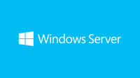 Microsoft Windows Server 2019 Client Access License (CAL) 1 licenza/e