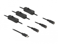 DeLOCK 86801 tussenstuk voor kabels USB Type-C 3 x DC 5.5 x 2.1 mm Zwart