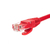 Netrack BZPAT0256R kabel sieciowy Czerwony 0,25 m Cat6 U/UTP (UTP)