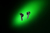 Razer Hammerhead X Fejhallgató Vezeték nélküli Hallójárati Hívás/zene Bluetooth Fekete, Zöld