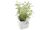 orthex Pot à herbes aromatiques EDEN, largeur: 120 mm, blanc (63500000)