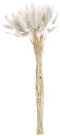 Trockenblumenbundle Ajda; 40 cm (L); weiß