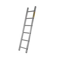 Single section aluminium ladder