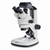 Set Stereomicroscopio-Set digitale OZL 468C825