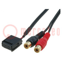 Aux-adapter; RCA; Ford