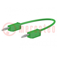 Test lead; 60VDC; 30VAC; 10A; banana plug 2mm,both sides; green