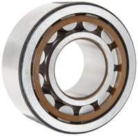 SKF - RODAMIENTO DE RODILLO RADIAL CILÍNDRICO (55 ID, ACERO DE RODAMIENTO)