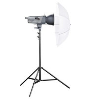 Walimex VE-400 Excellence apparatuurset voor fotostudio Zwart, Grijs