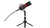 ENDORFY Solum Streaming T Zwart PC-microfoon