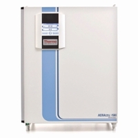 CO2-Inkubatoren mit Innenbehälter Heracell™ 150i/240i | Typ: Heracell™ 240i